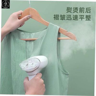 Handheld Steamer Portable Steam Electric iron 220V 1000W