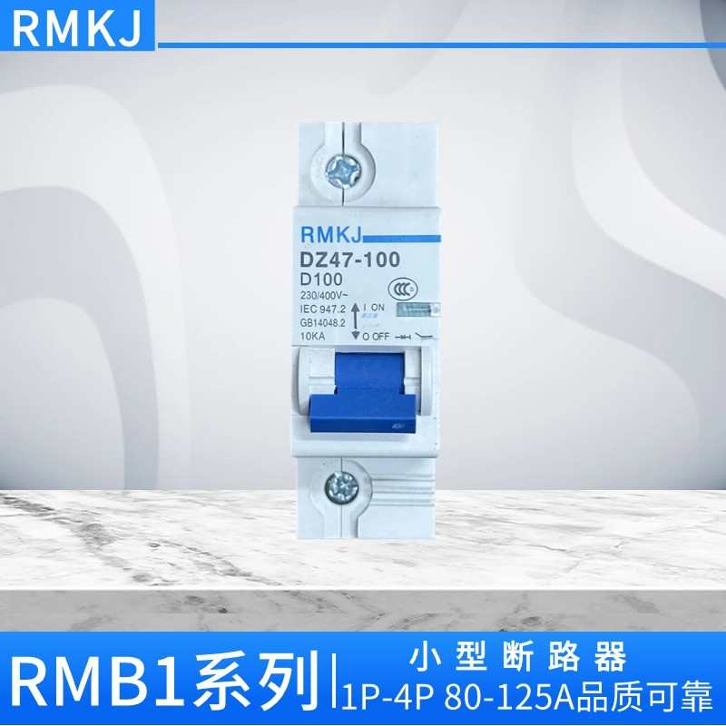 上海人民NC空开小型断路器DZ47-125A 1P2P3P4PD100A空气开关DZ158