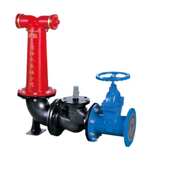 老式 1.6地下式 水泵接合器 SQS100 厂家直供消防水泵接合器地上式