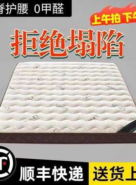 天然椰棕床垫棕偏硬护榈脊儿垫童棕垫GOZ黄麻任意尺折叠榻榻米垫