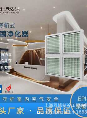 冷库净化杀菌空气净化消毒器除臭除醛除霾苯EPICC净化箱式杀菌净