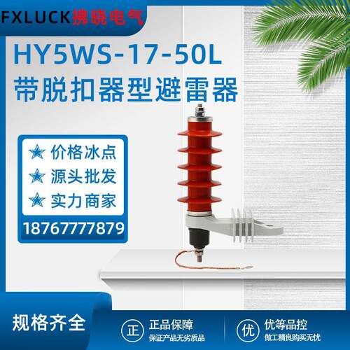HY5WS-17-50L高压氧化锌避雷器带脱扣器复合型金属硅橡胶间隙10KV