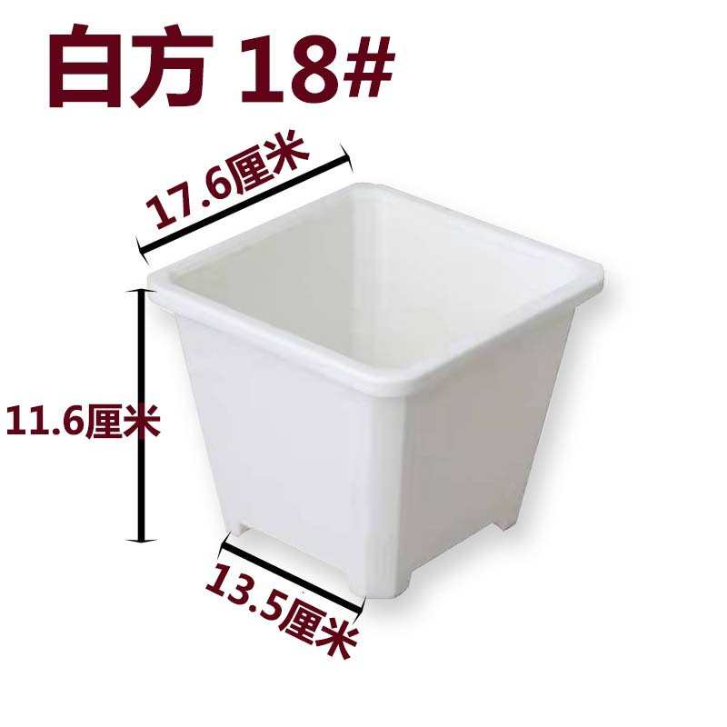 黑色盆基地批发盆肉白色多方盆花盆育苗景天电商白方加厚黑方