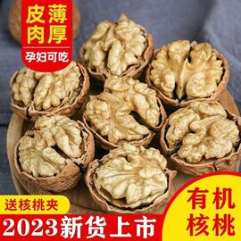 2023年新货薄皮核桃云南纸皮核桃仁孕妇原味坚果新鲜薄壳散装坚果