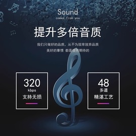 2024专业调音车载U盘高品质流行CD歌曲抖音网红热歌流行音乐伤感