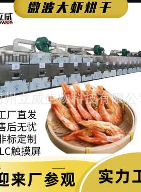 工业微波炉小鱼烘干小银鱼海产品干燥灭菌大虾虾干微波烤炉