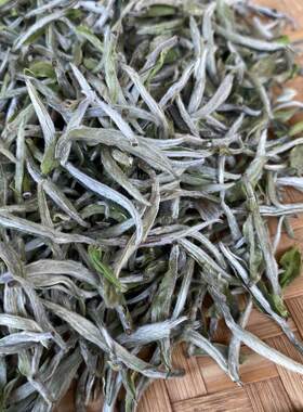 新茶福云六号白毫银针福白茶一级白鼎散茶茶叶牡丹王白毫银针