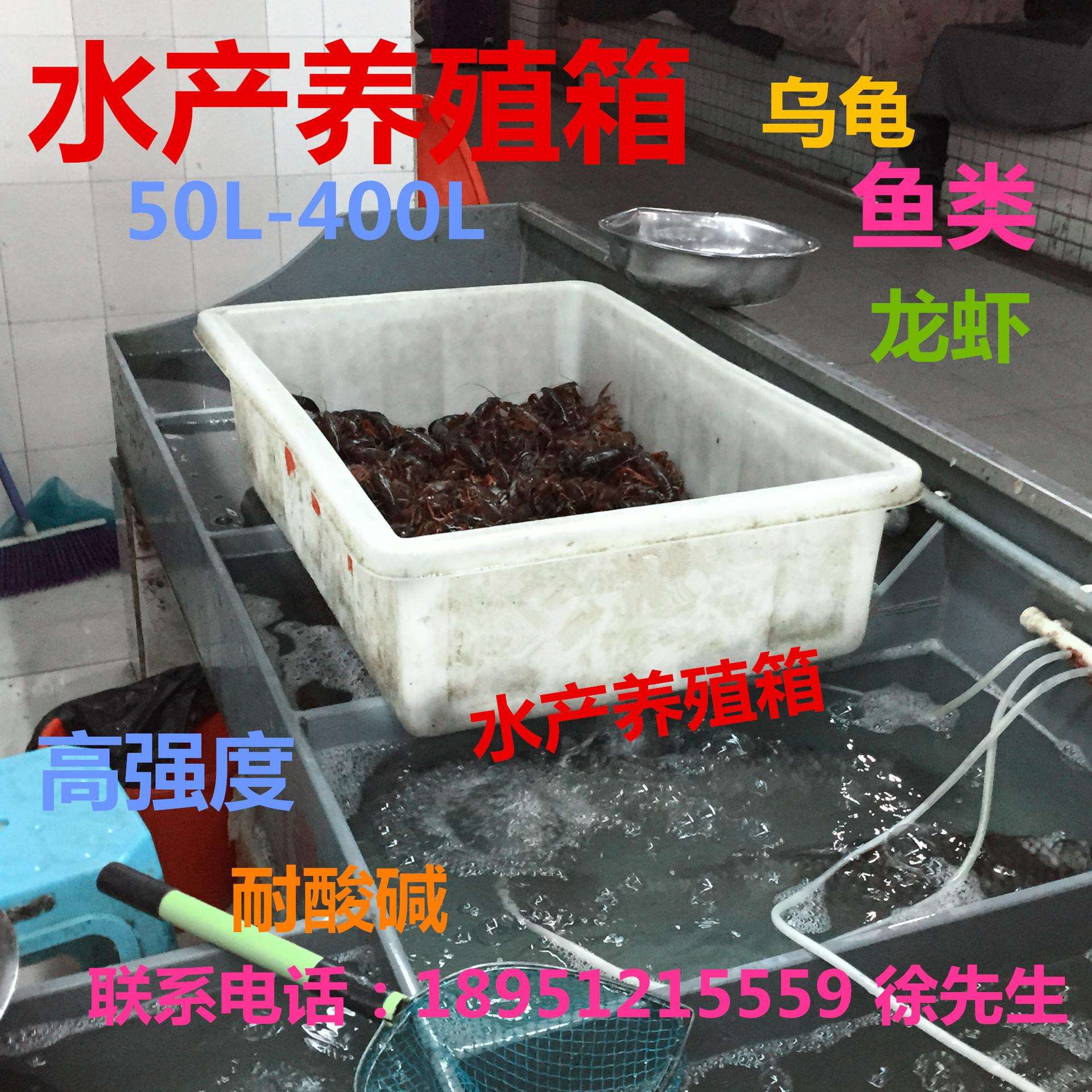 供应各种规格塑料白盆 深浅方盘 白色方形养殖箱龙虾 环保耐用