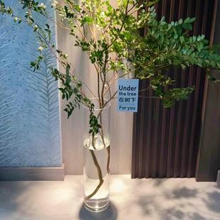 吊钟马醉木花瓶水培植物专用高花瓶插花长枝仿真花干花器皿瓶子