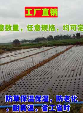 打孔地膜农用有孔塑料薄膜黑色除草保温蔬菜树苗种菜种植白银黑膜