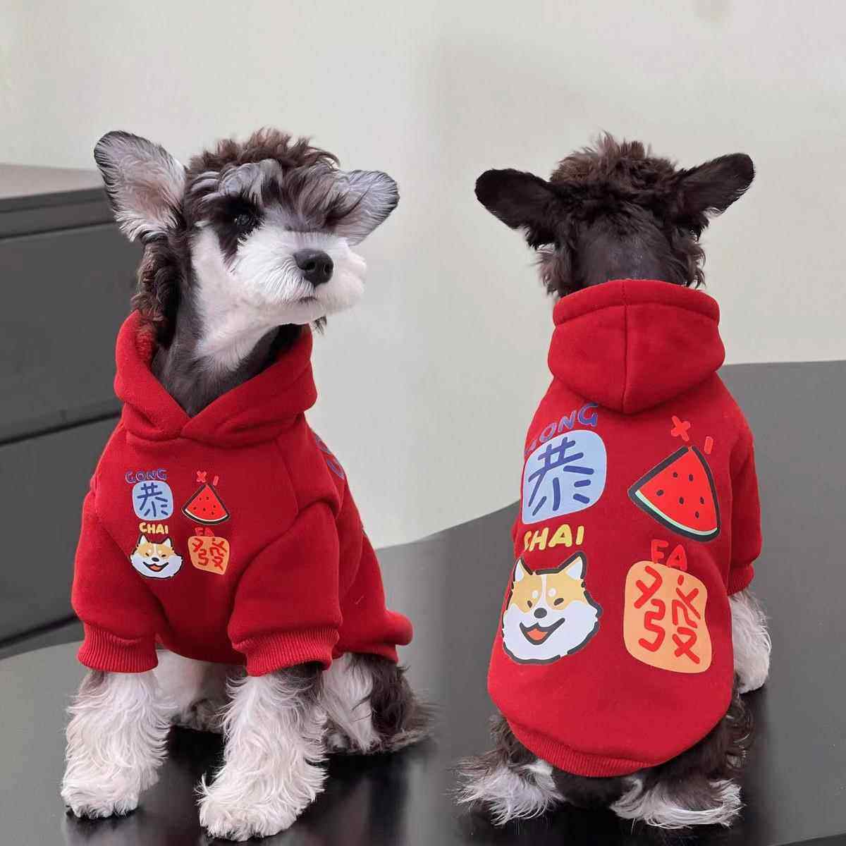 加绒保暖泰迪狗狗衣服秋冬天中小型犬博美雪纳瑞小狗连帽宠物卫衣