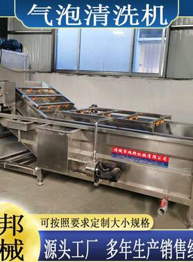 果蔬喷淋式连续气泡清洗机椰枣清洗加工生产线食堂全自动洗菜机