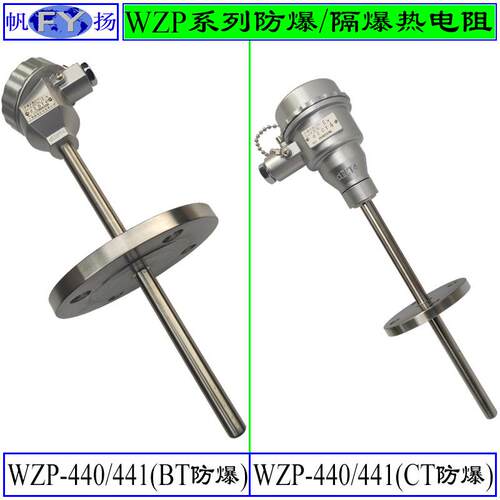 WZP-640 WZP2-641热电阻 防爆热电阻 ExdIIBT4隔爆 固定螺纹锥形