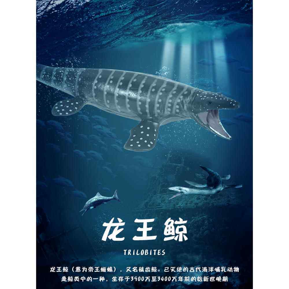 儿童史前巨兽龙王鲸模型械齿鲸远古鲸鱼恐龙玩具仿真动物海洋生物