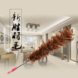 桌面掸子 厂家批发 鸡毛掸 加厚加大鸡毛掸子除尘 家用车掸子