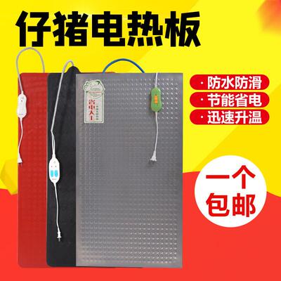 仔猪加热板猪用养殖兽用不锈钢加热板小猪保温板母猪产床保温箱