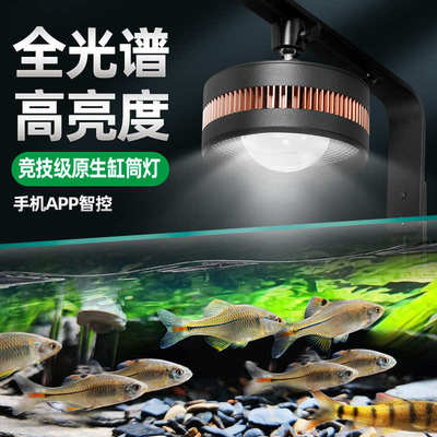 原生溪流缸灯鱼缸生态暴藻出苔LED灯全光谱筒灯射灯鱼缸观赏灯