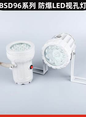 BSD96系列LED防爆视孔灯反应釜防爆视镜灯12V24V36V220V探照灯