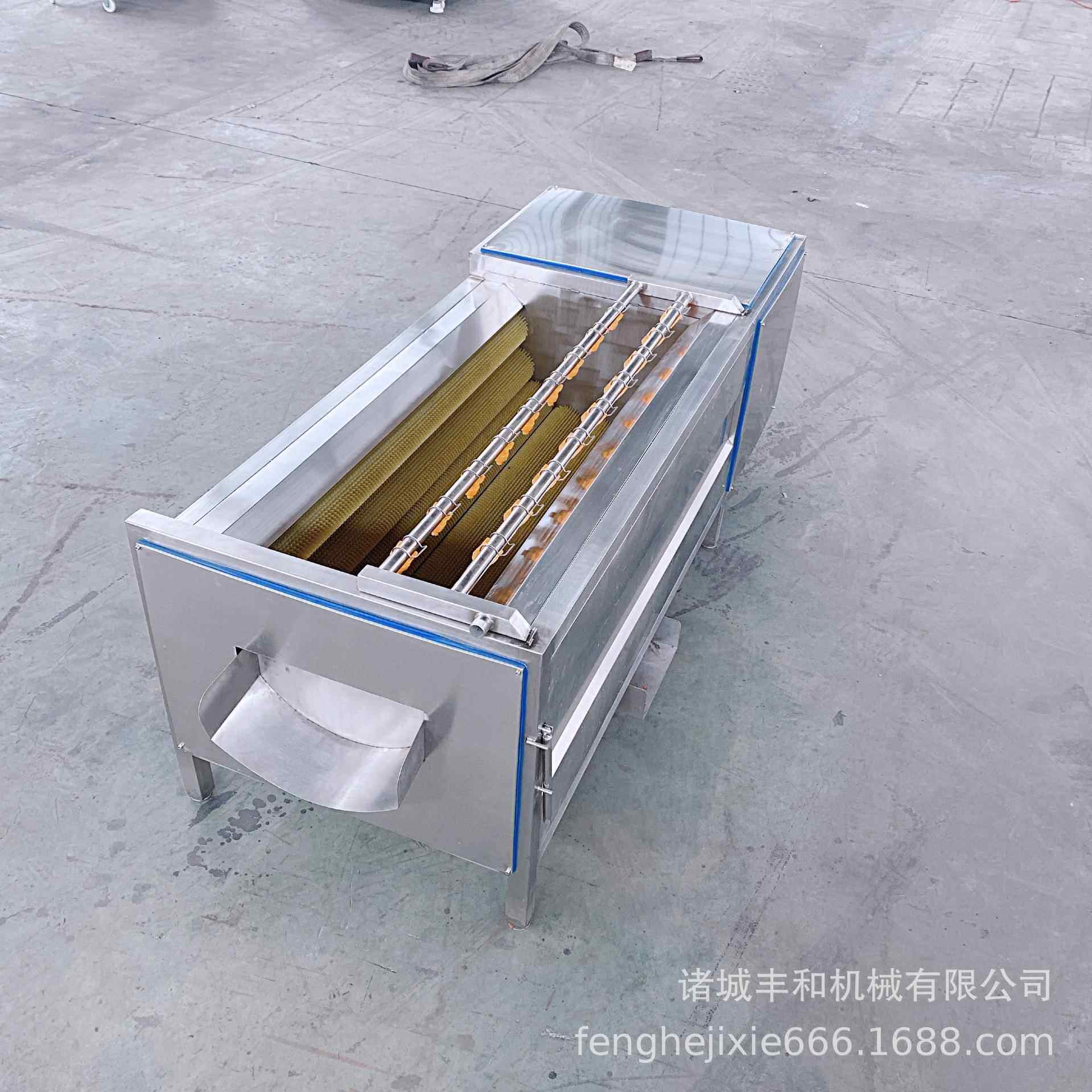 平行式毛辊清洗机 海鲜洗泥去沙清洗机 红薯去皮清洗机厂家现货