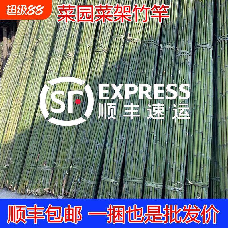 菜园搭架竹竿豆角黄瓜爬藤架园艺篱笆围栏竹竿手工爬藤架户外竹子