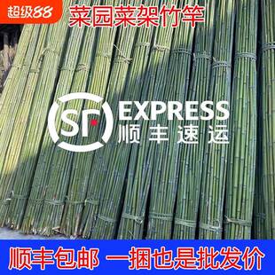 菜园搭架竹竿豆角黄瓜爬藤架园艺篱笆围栏竹竿手工爬藤架户外竹子