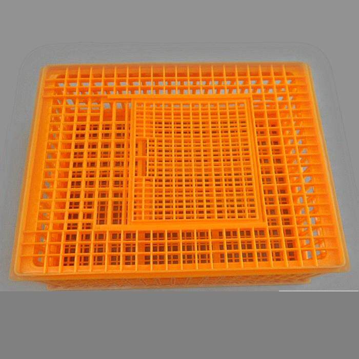 加厚鸡笼 塑料运输笼鸭笼 鹅笼家用筐成鸡笼周转成鸡箱鸽放飞笼