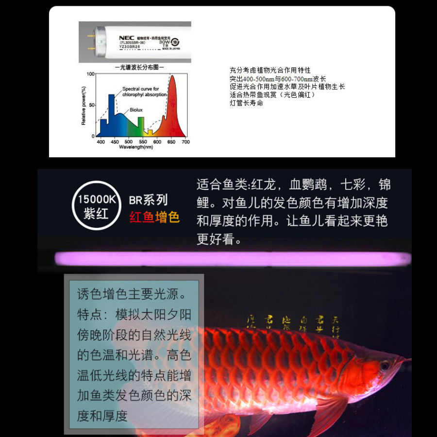 龙鱼专用鱼缸灯nec潜水灯管红龙鱼诱色发神灯增色led三基色水中金