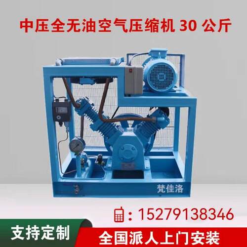 40公斤4MpaPET吹全无油压缩机SW-0.4/40压无油空压机压