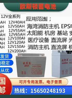 欧斯盾蓄电池GFM/WYD12100L消防应急UPS电源/12V17A24A38A65A100A