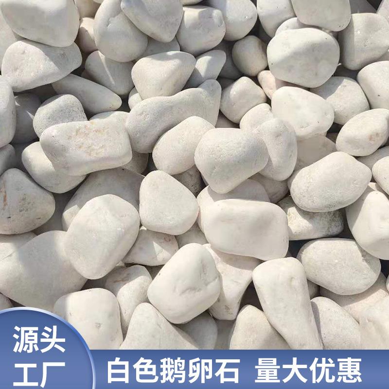 各种机制鹅卵石白色鹅卵石黑色水磨石子规格齐全铺面装饰原石