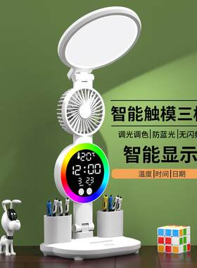 学习书桌台灯护眼写作业专用冲插电两用阅读宿舍床头灯LED可调光
