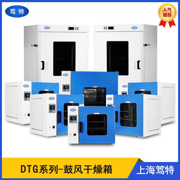 上海DTG-9123A电热恒温鼓风干燥箱实验室恒温烘箱