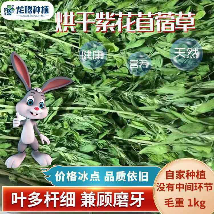 2025烘干紫花苜蓿草兔子龙猫荷兰猪宠物粮食紫花苜蓿牧草1kg箱,宠物/宠物食品及用品,兔兔主粮,淘宝优惠券,粉丝福利购,淘宝优惠卷