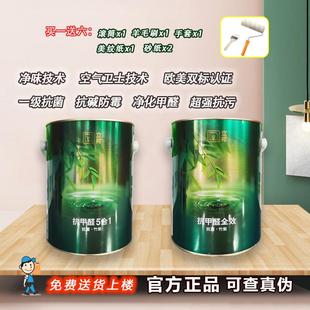 立邦竹炭抗甲醛净味五合一净味5合1全效抗污抗菌防霉抗碱环保室内饰品