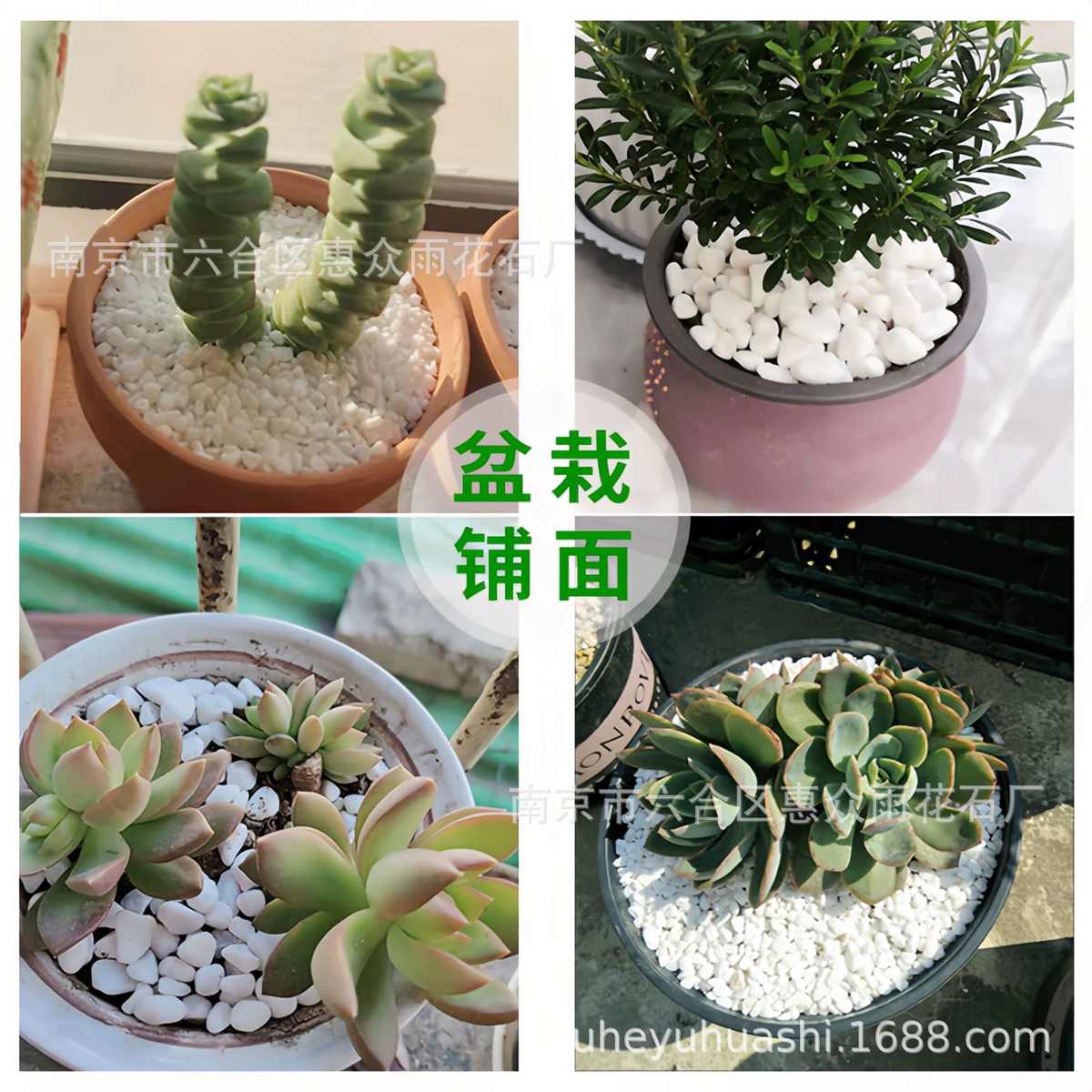 景观铺地鹅卵石园林花园造景鹅卵石子庭院石子石白石白色白石头