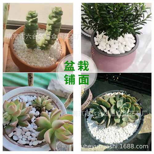 花园造景白石鹅卵石石子鹅卵石子石白色庭院白石头铺地景观园林