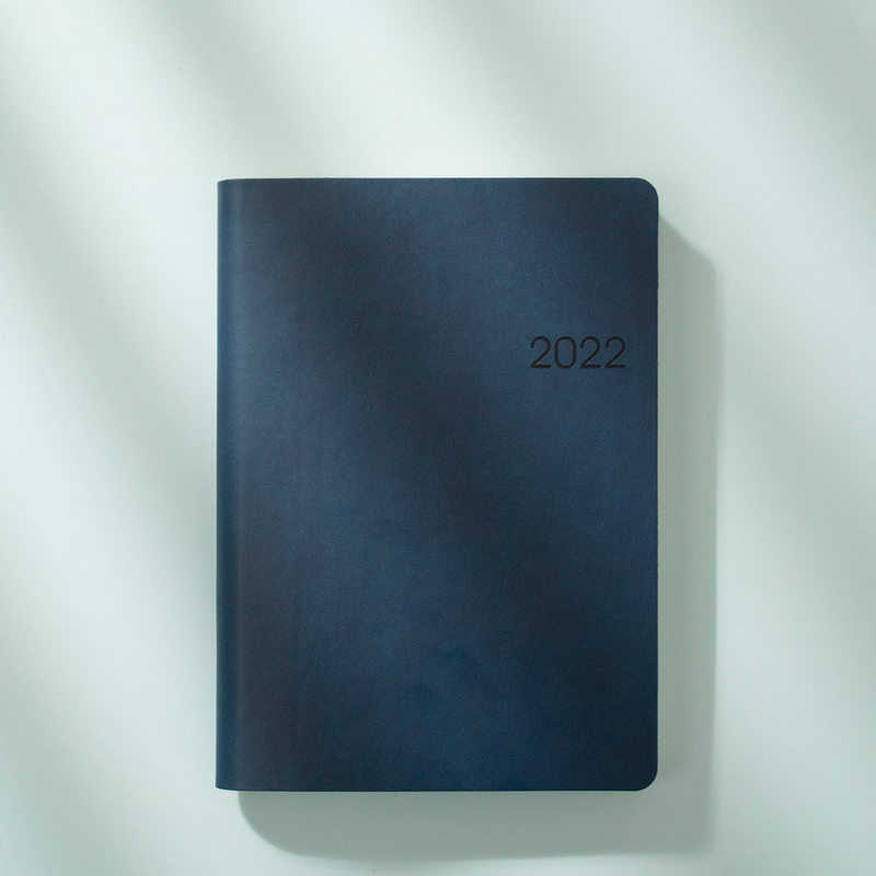 每日程计划账本打卡计划表本自律两天2022一页记事本本日日历手本