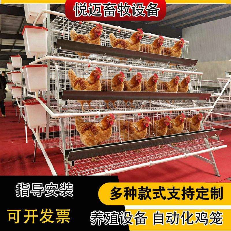 四层冷镀锌蛋鸡育雏笼自动鸡用养殖小鸡笼养鸡场专用养鸡笼