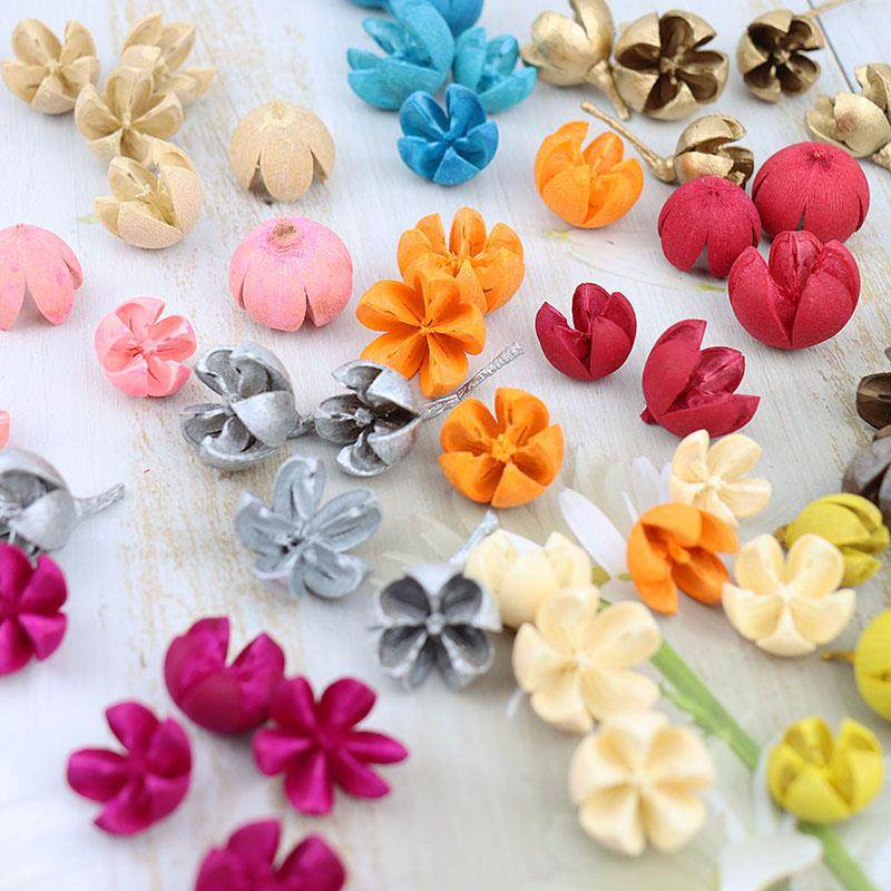 圣诞节永生花材干果开心果十字果实干花diy团扇手工婚礼花盒材料