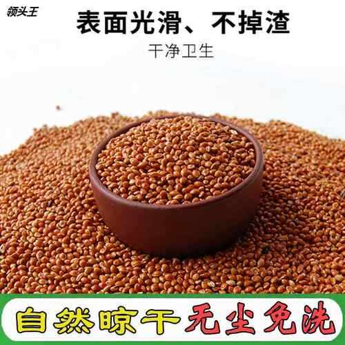 散装免洗黍子枕头填充物糜子婴儿装枕芯料蒙稷红谷子特级10斤新货