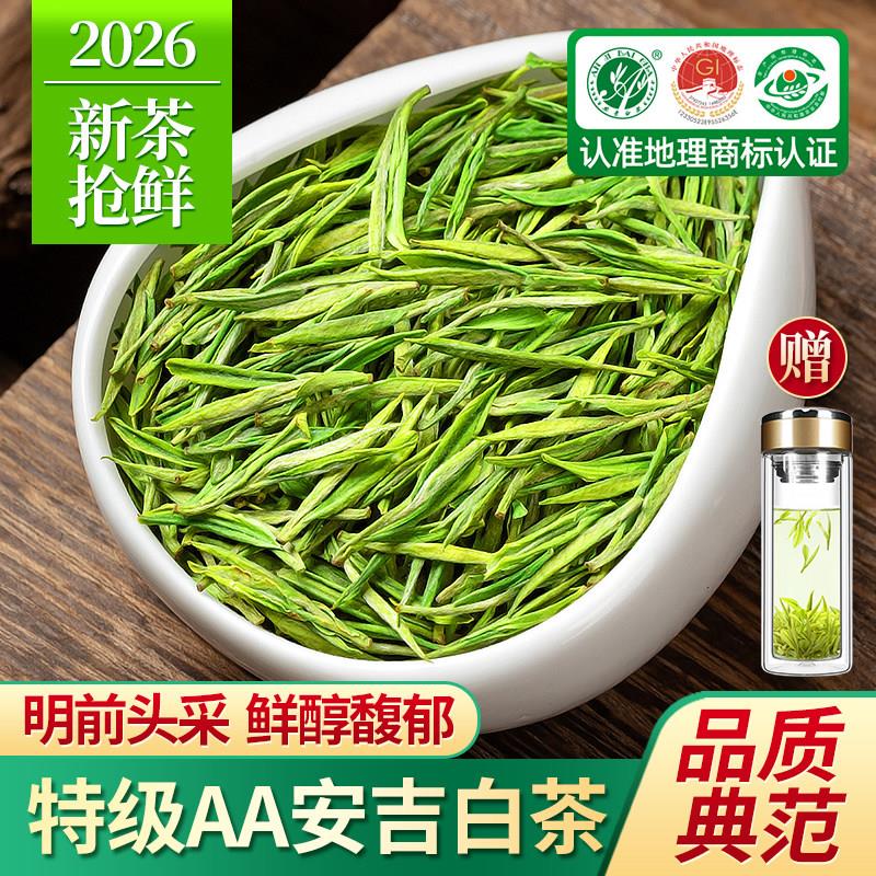 2026年新茶安吉白茶明前特级嫩芽绿茶正宗白茶散装茶叶礼盒装500g