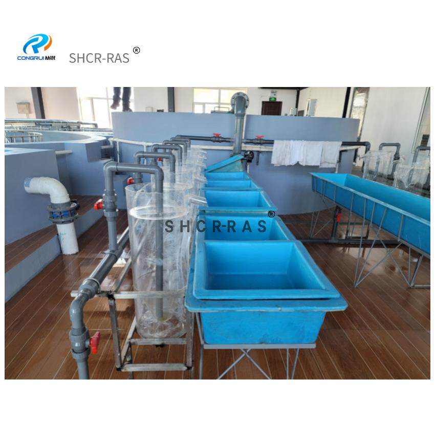 工厂化循环水鱼卵孵化器pp鱼卵孵化桶鲈鱼鳜鱼孵化器石斑鱼孵化