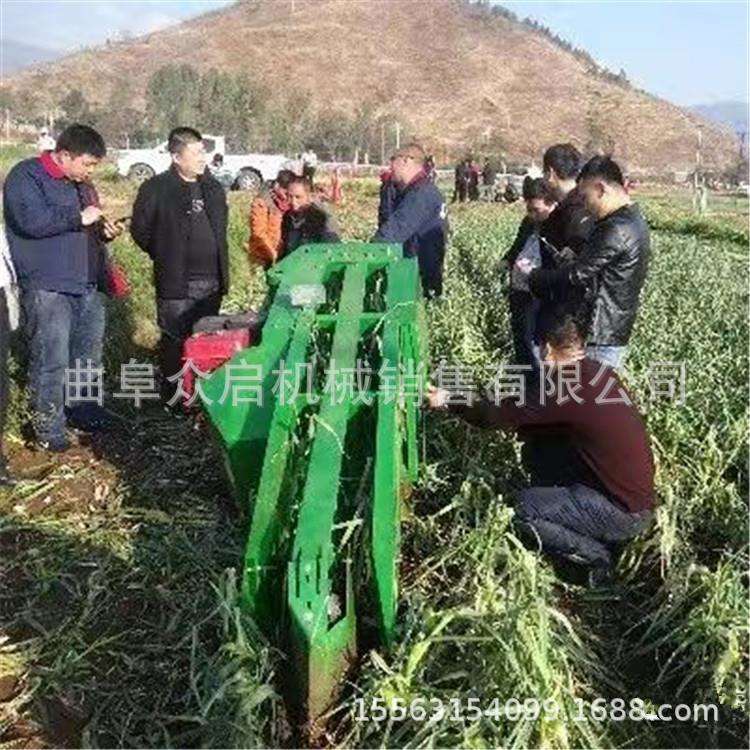 自走式大蒜联合收获机 挖蒜 大蒜去胡断茎一体机深浅可以调节
