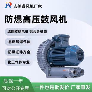 工业炉 0.55KW高压鼓风机漩涡通风机可用鼓风炉 A11 风洞 310