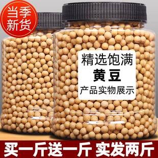 东北特产新黄豆1000g罐装大黄豆芽打豆浆专用五谷杂粮5斤散装