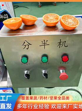 木瓜柚子劈半机输送式杏鲍菇水萝卜切半机全自动布留克分半