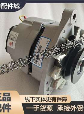 1潍柴226B道茨WP6柴油发动机13024704依发电机4VM佩特来DAC216188