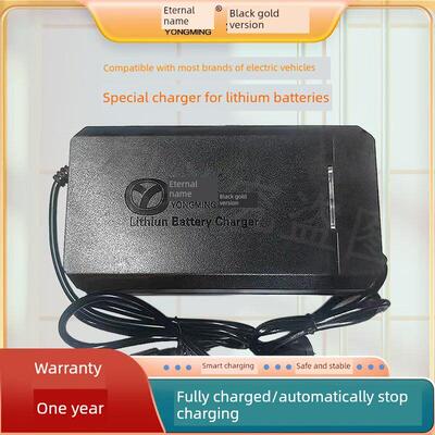 永明锂电池充电器48V60V72V大功率锂电池专用充电器完全自停