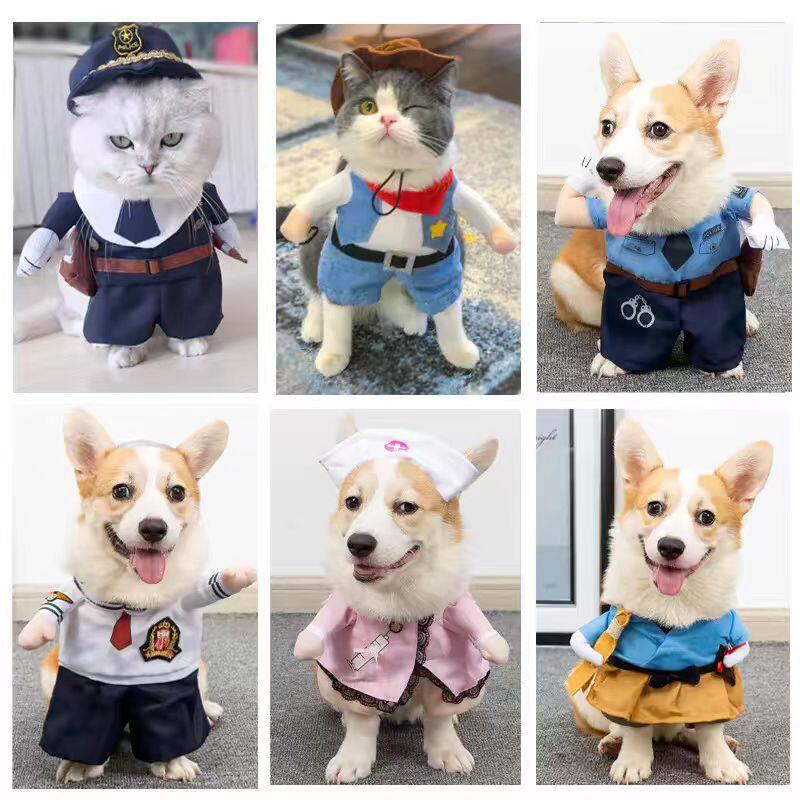 猫咪衣服狗狗宠物服饰可爱小猫咪夏季搞笑搞怪装立体衣服拍摄道具