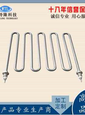 高k温电双头热管大功液体加热管空气干烧681率发热管1kw2kw3w4kw